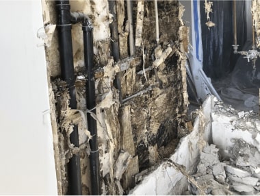 mold damaged wall